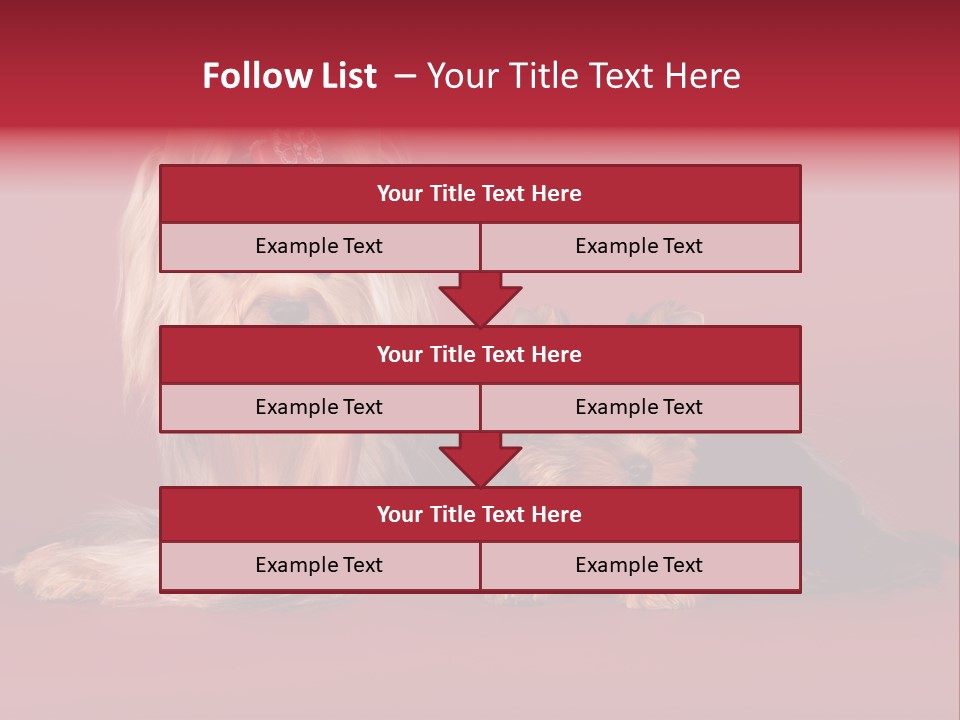 Yorkshire Terrier PowerPoint Template