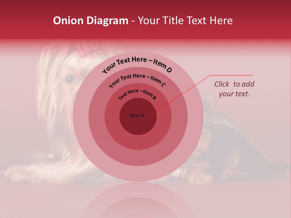 Yorkshire Terrier PowerPoint Template