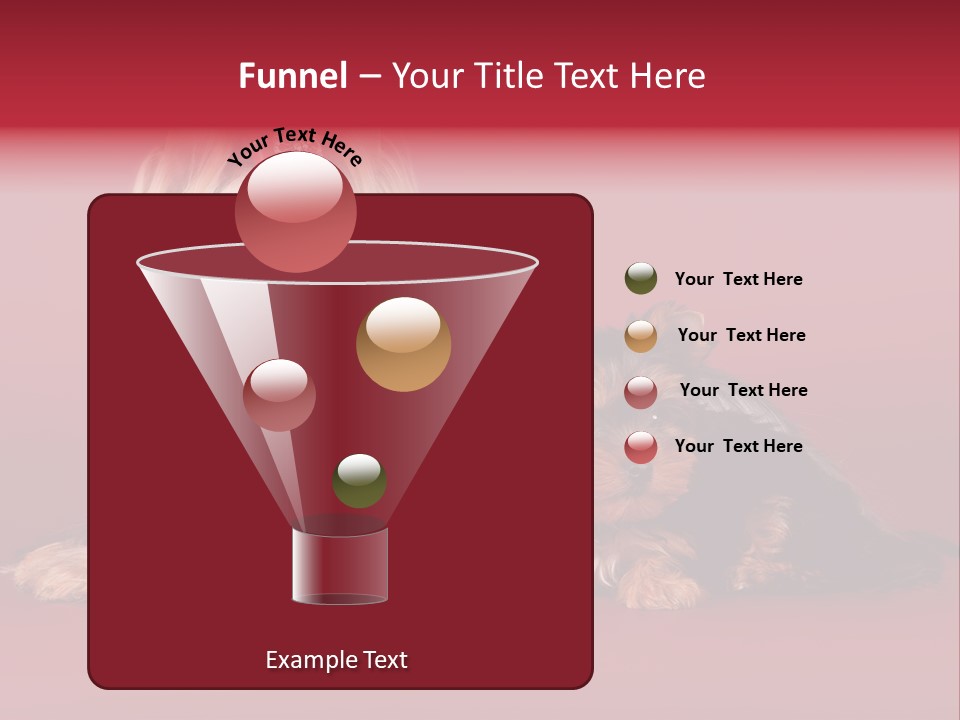 Yorkshire Terrier PowerPoint Template