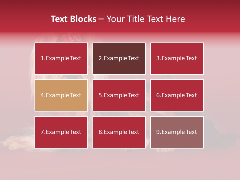 Yorkshire Terrier PowerPoint Template