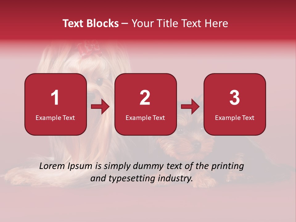 Yorkshire Terrier PowerPoint Template