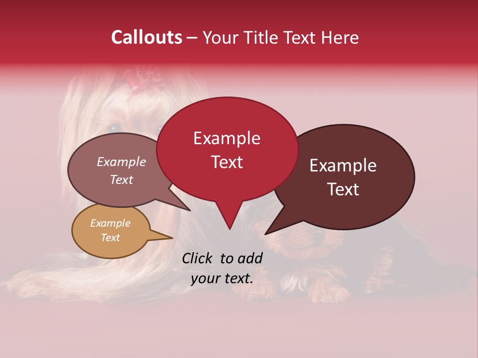 Yorkshire Terrier PowerPoint Template