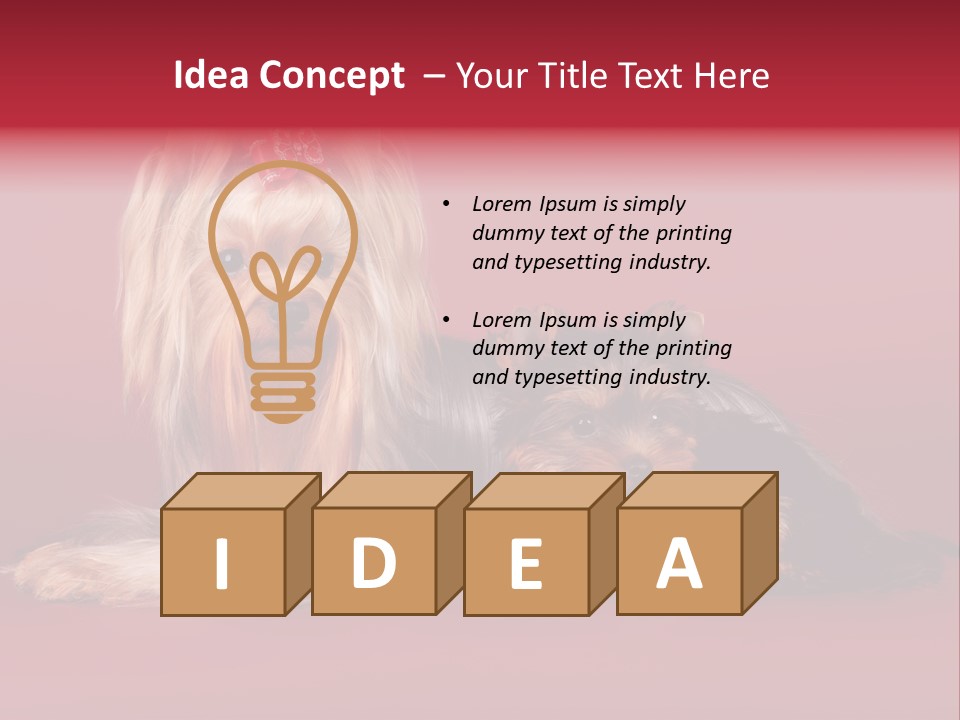 Yorkshire Terrier PowerPoint Template