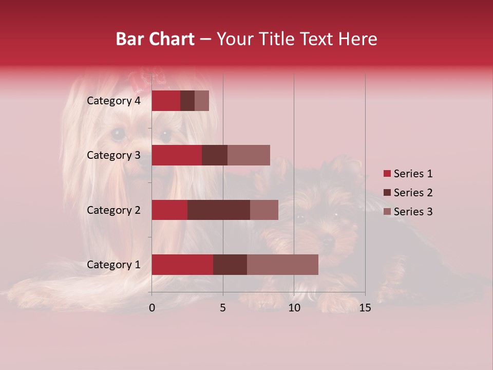 Yorkshire Terrier PowerPoint Template