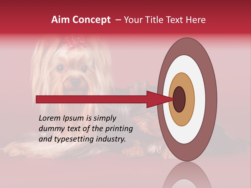 Yorkshire Terrier PowerPoint Template