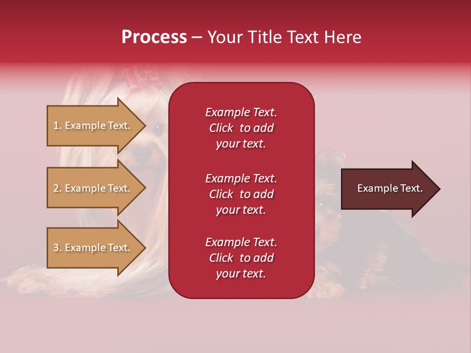 Yorkshire Terrier PowerPoint Template