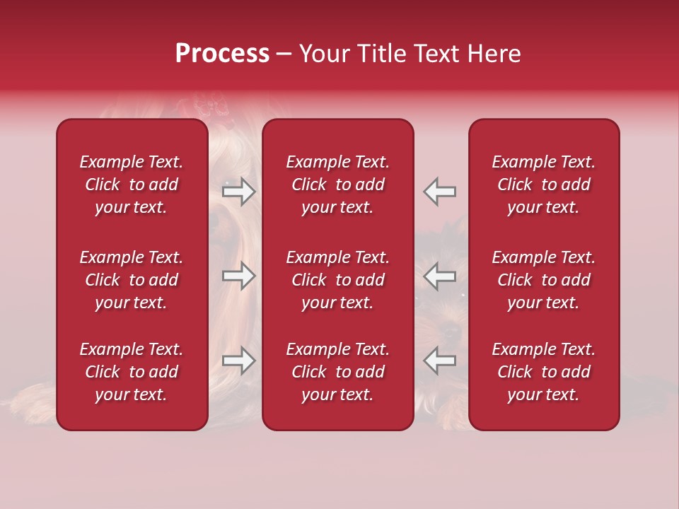 Yorkshire Terrier PowerPoint Template