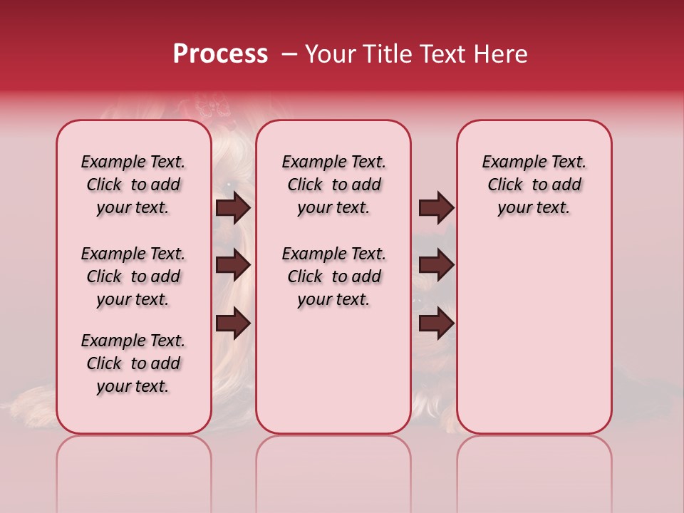 Yorkshire Terrier PowerPoint Template