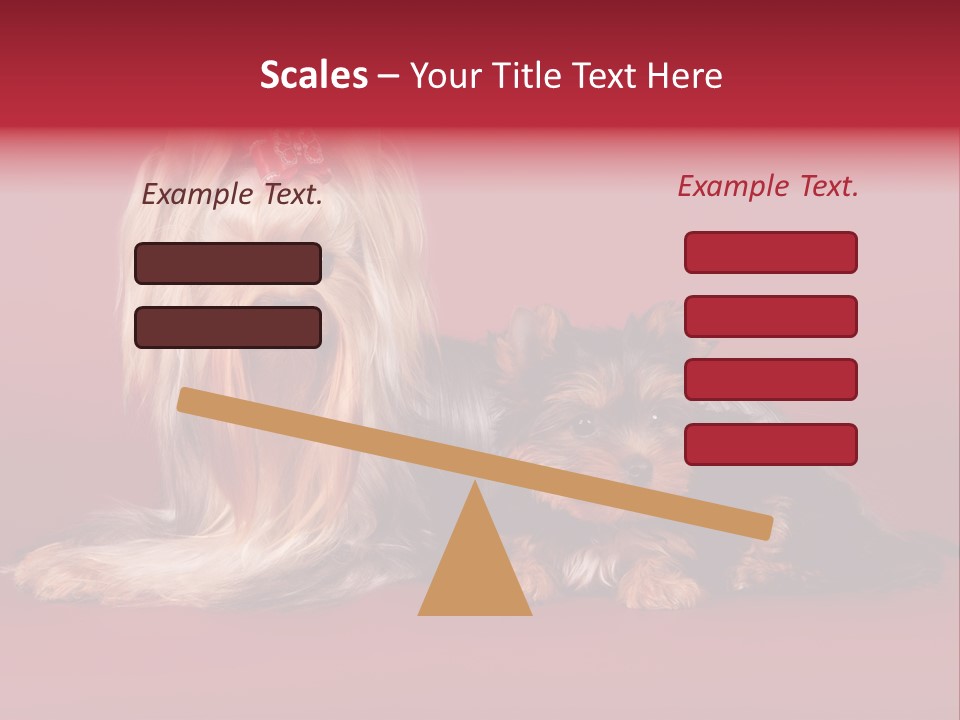 Yorkshire Terrier PowerPoint Template