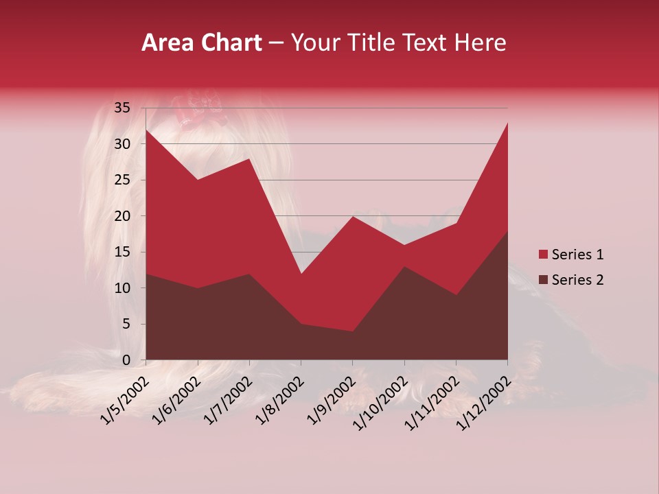 Yorkshire Terrier PowerPoint Template