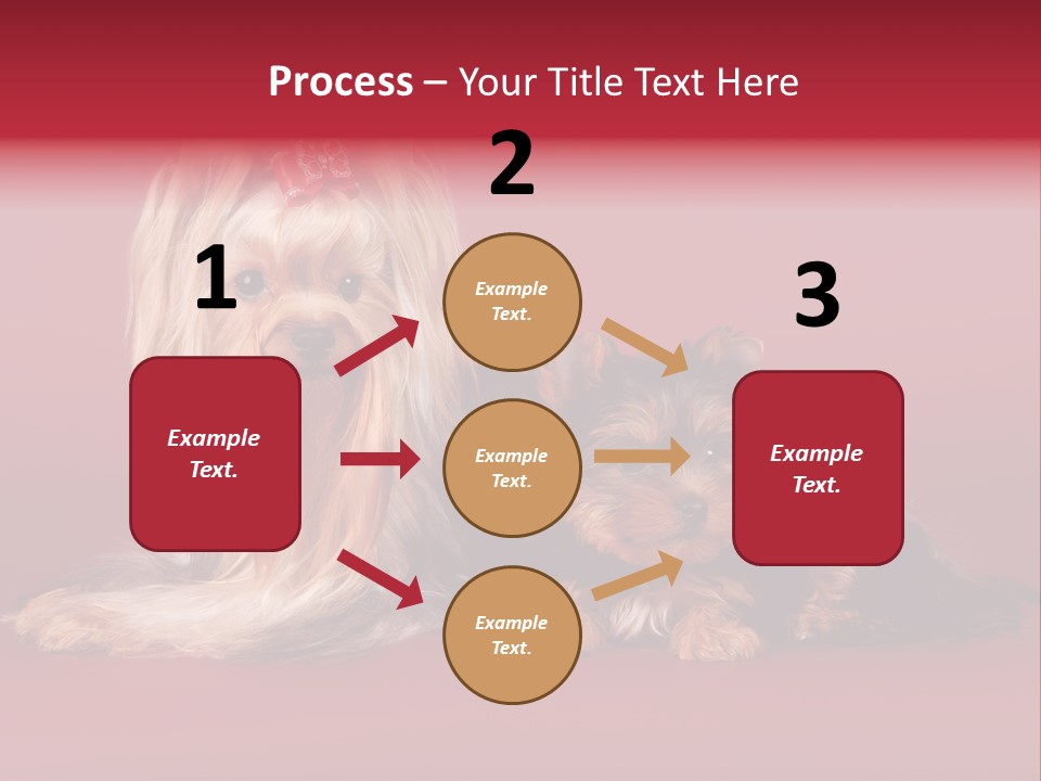 Yorkshire Terrier PowerPoint Template