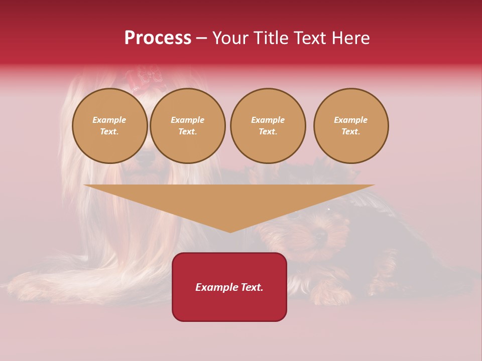 Yorkshire Terrier PowerPoint Template