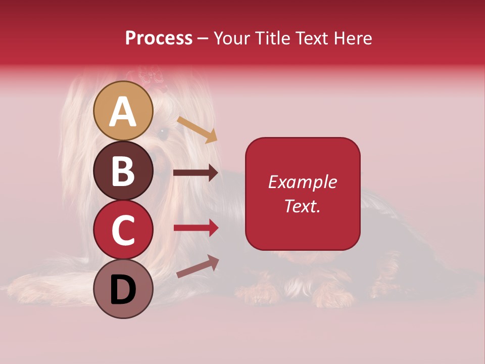Yorkshire Terrier PowerPoint Template
