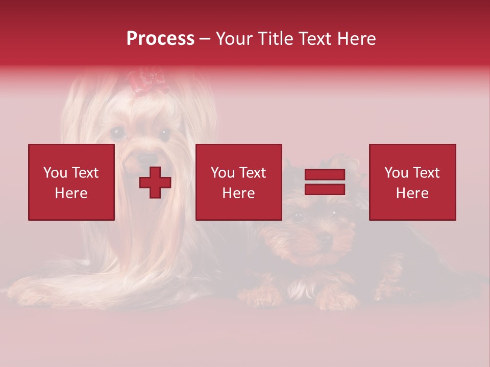 Yorkshire Terrier PowerPoint Template