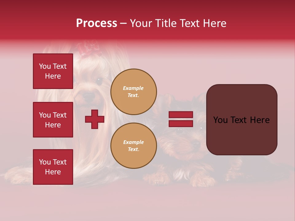 Yorkshire Terrier PowerPoint Template