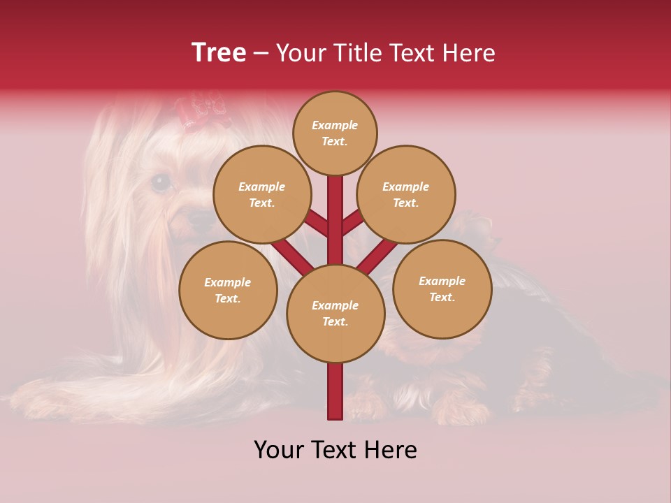 Yorkshire Terrier PowerPoint Template