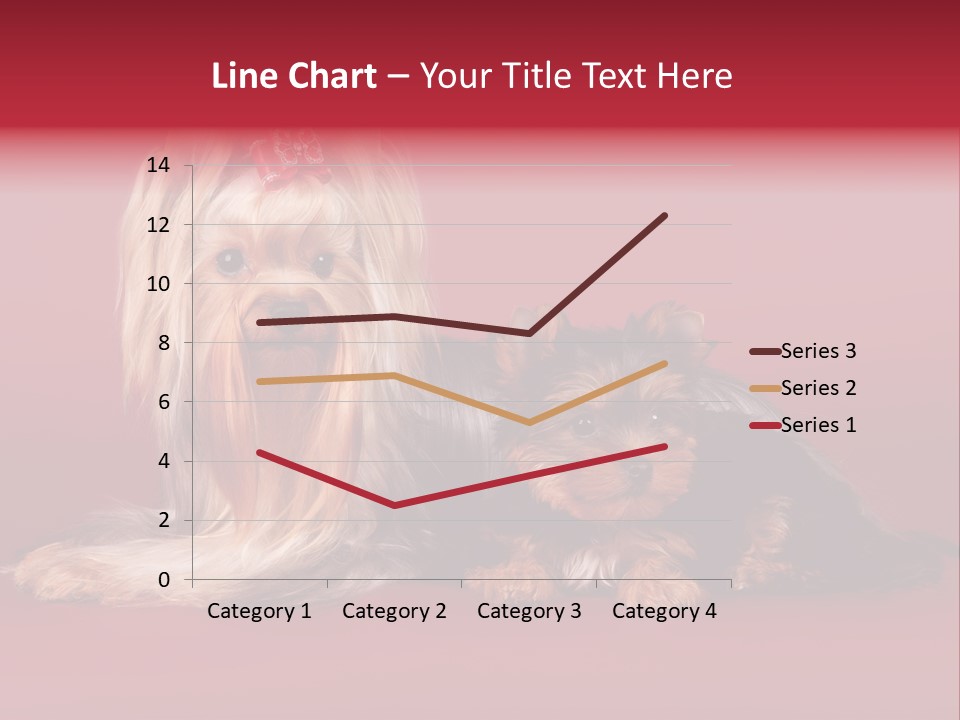 Yorkshire Terrier PowerPoint Template