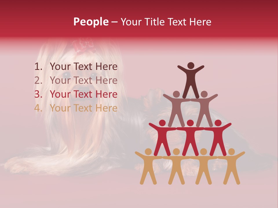 Yorkshire Terrier PowerPoint Template