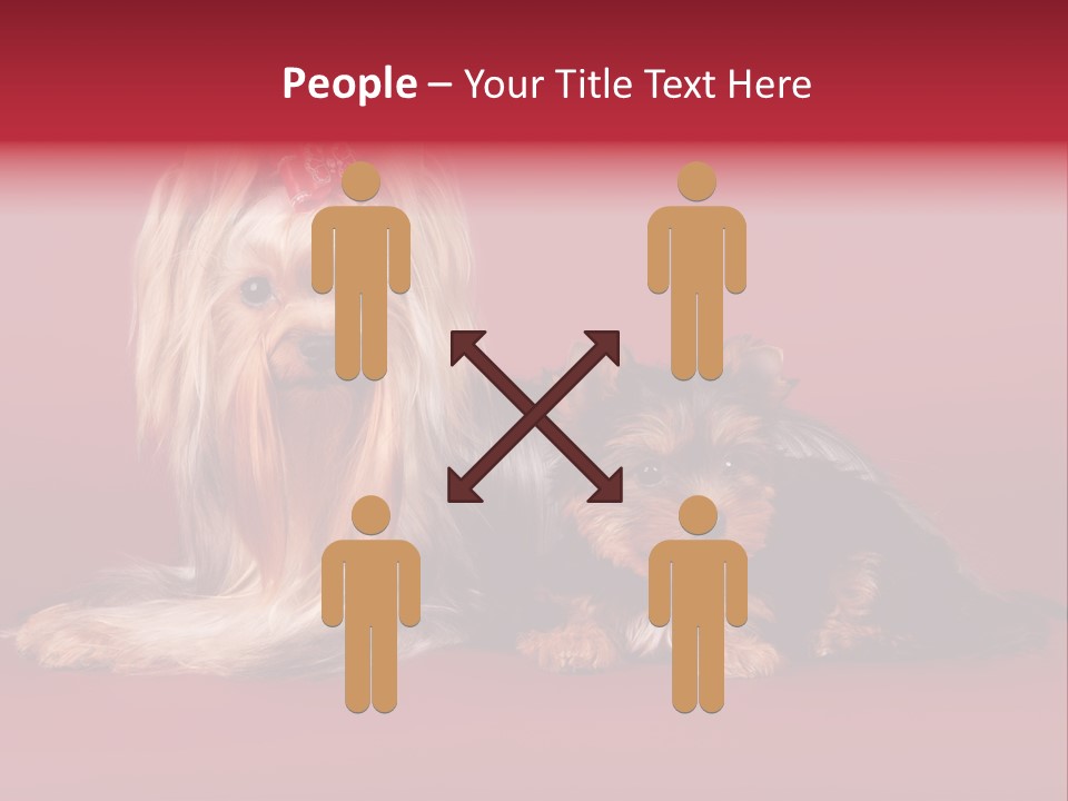 Yorkshire Terrier PowerPoint Template