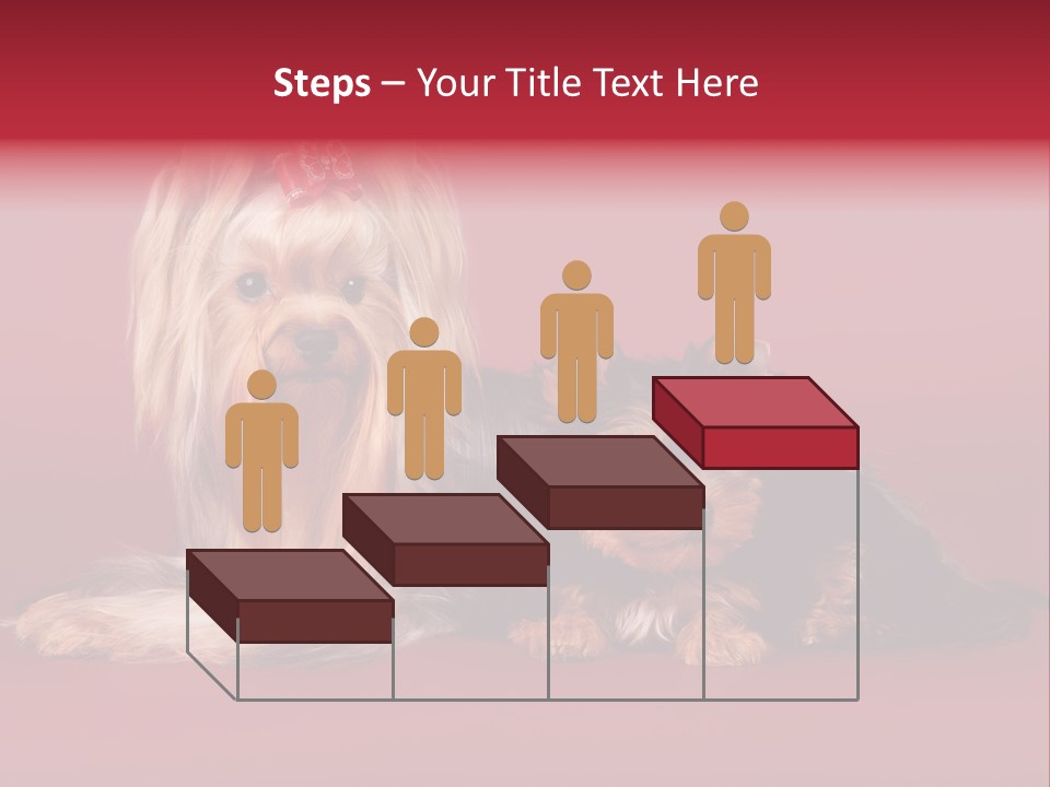 Yorkshire Terrier PowerPoint Template