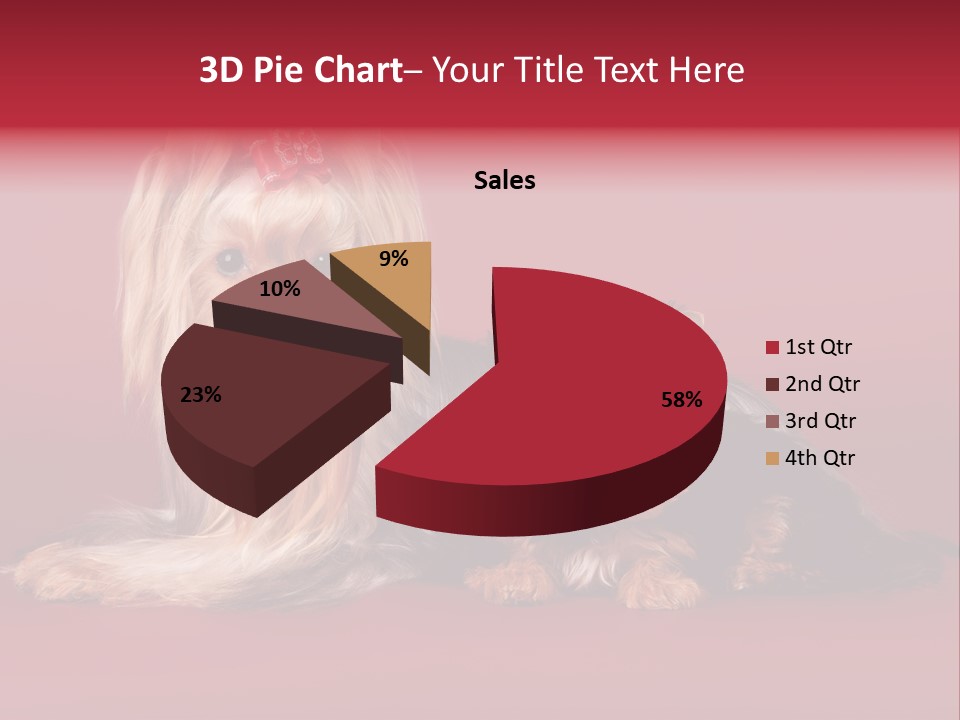 Yorkshire Terrier PowerPoint Template