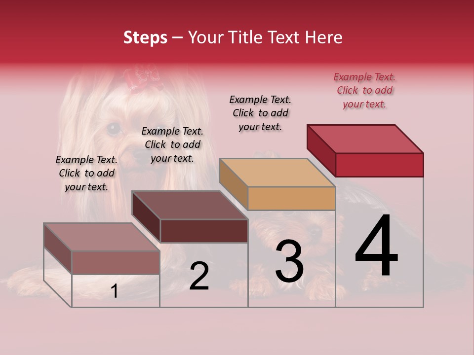 Yorkshire Terrier PowerPoint Template