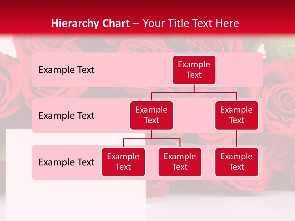 Red Rose PowerPoint Template