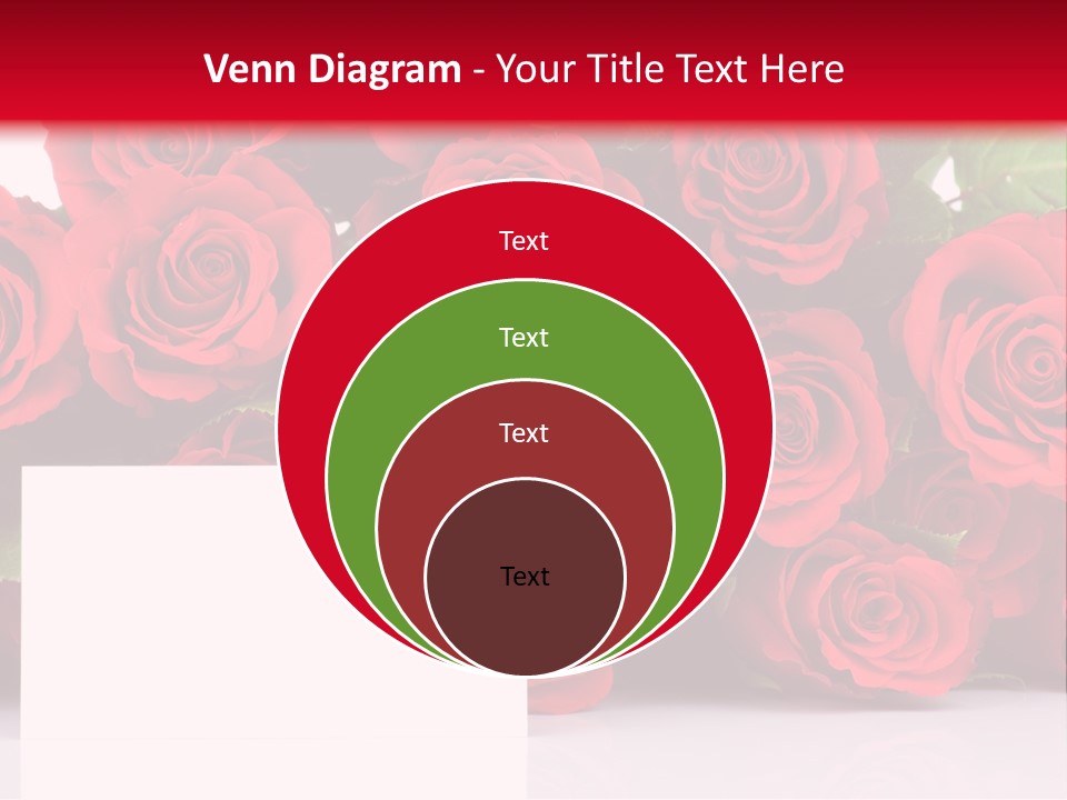 Red Rose PowerPoint Template