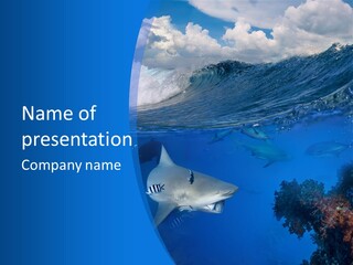 Above Under Water PowerPoint Template