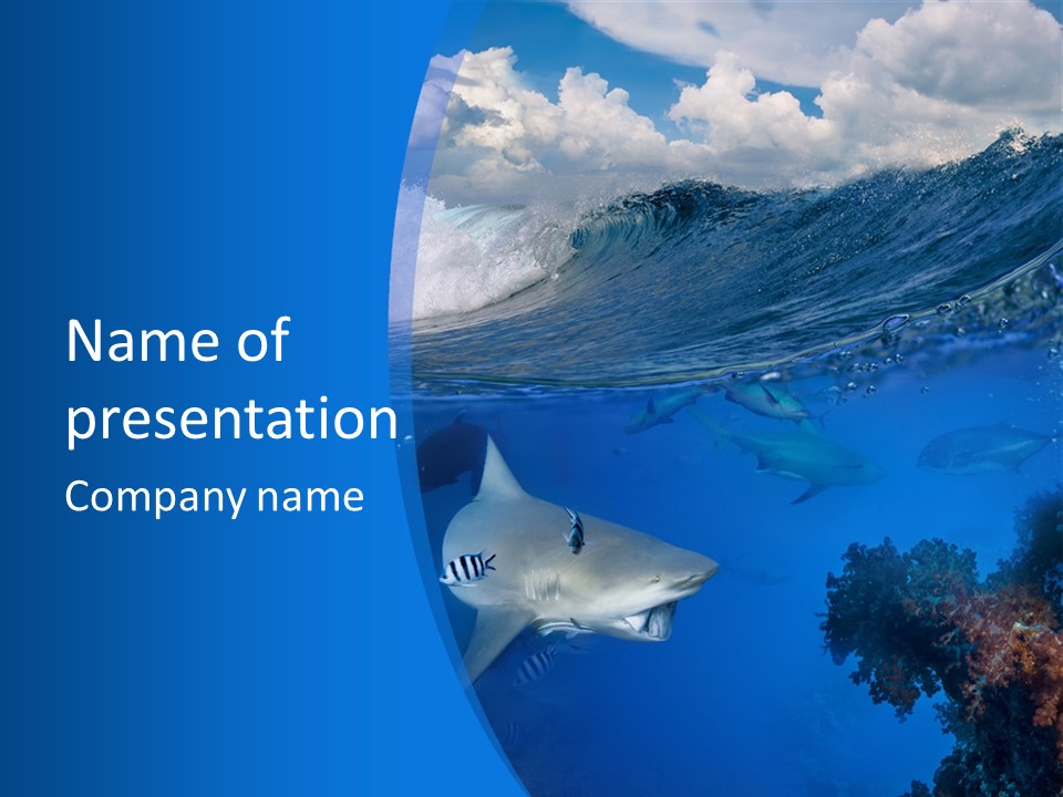 Above Under Water PowerPoint Template