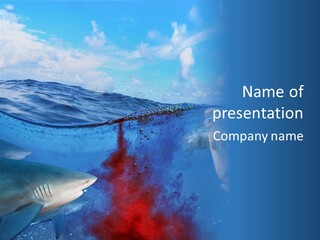 Underwater Shark Attack PowerPoint Template