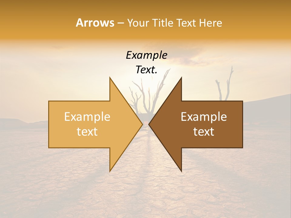 Dead Valley In Namibia PowerPoint Template