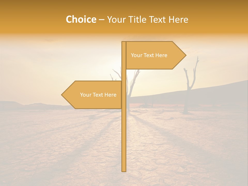 Dead Valley In Namibia PowerPoint Template