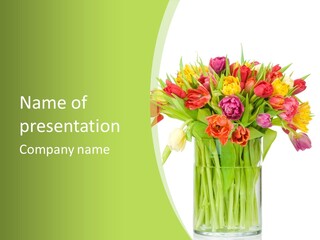 Floral Beautiful Color PowerPoint Template