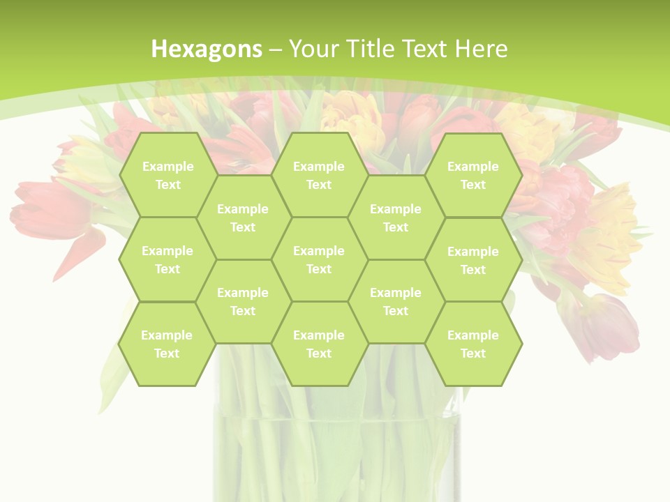 Floral Beautiful Color PowerPoint Template