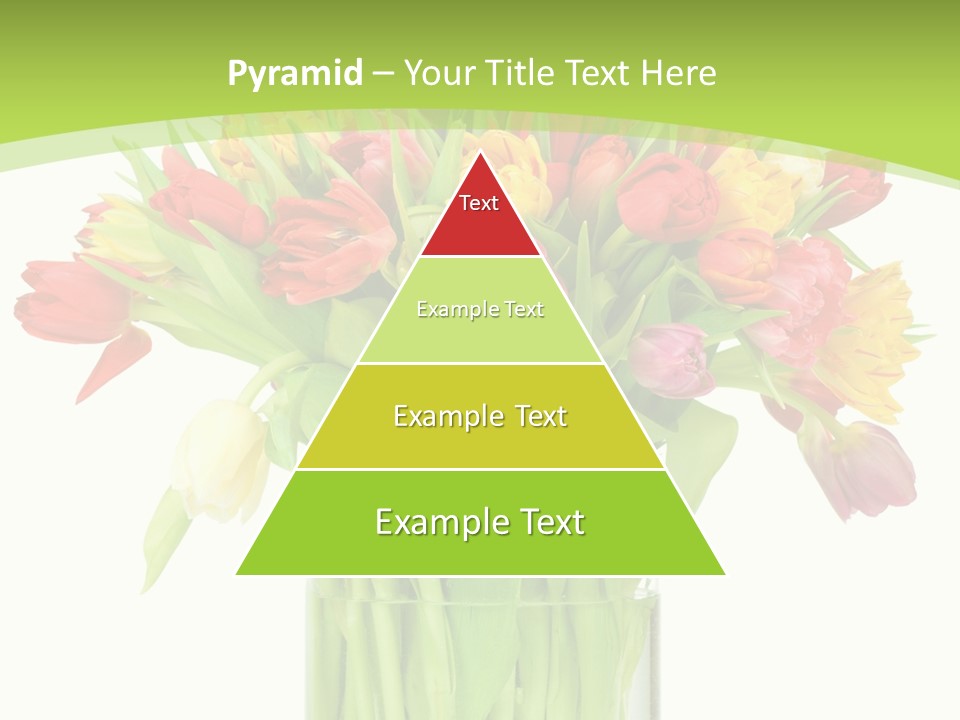 Floral Beautiful Color PowerPoint Template