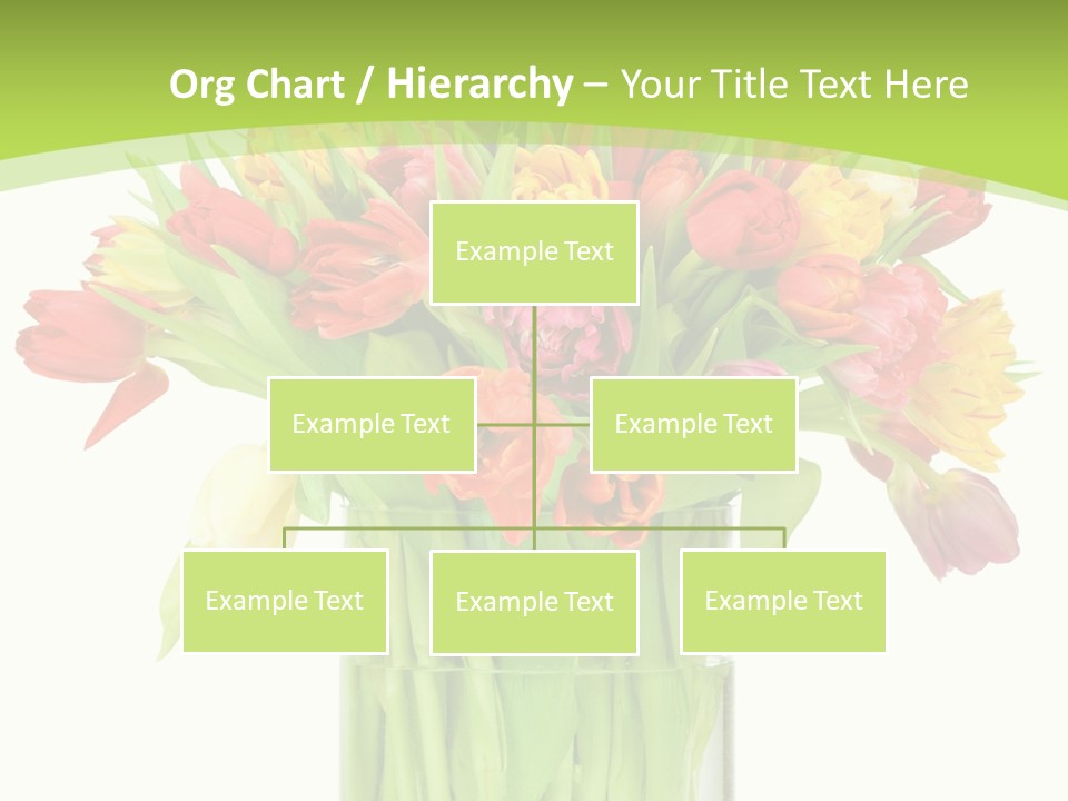 Floral Beautiful Color PowerPoint Template