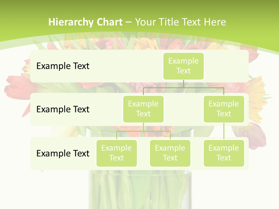 Floral Beautiful Color PowerPoint Template