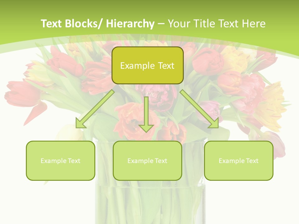 Floral Beautiful Color PowerPoint Template