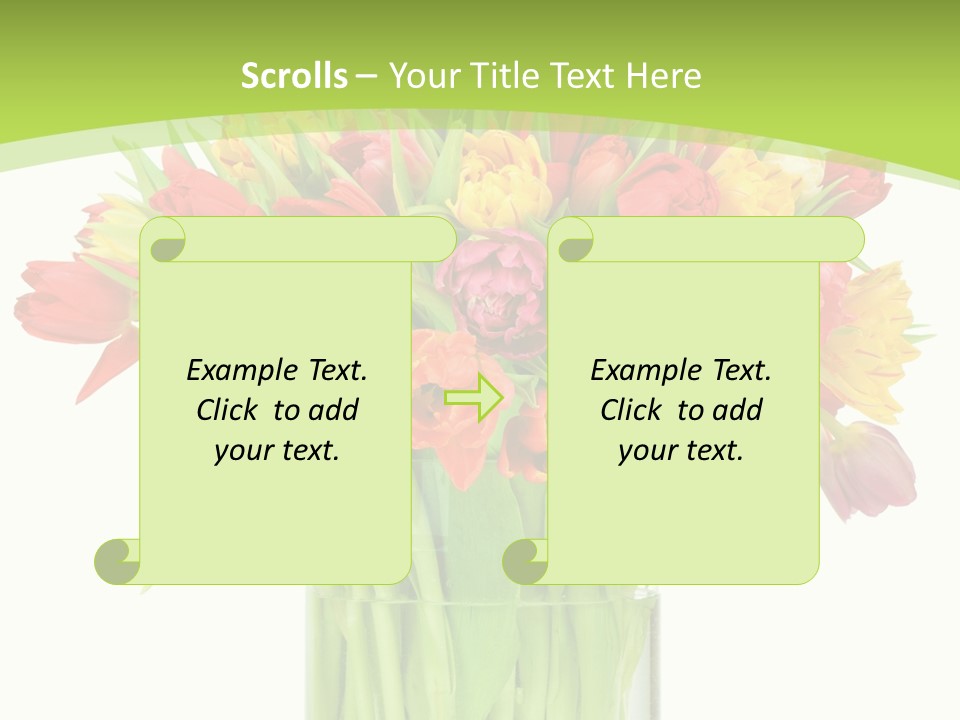 Floral Beautiful Color PowerPoint Template