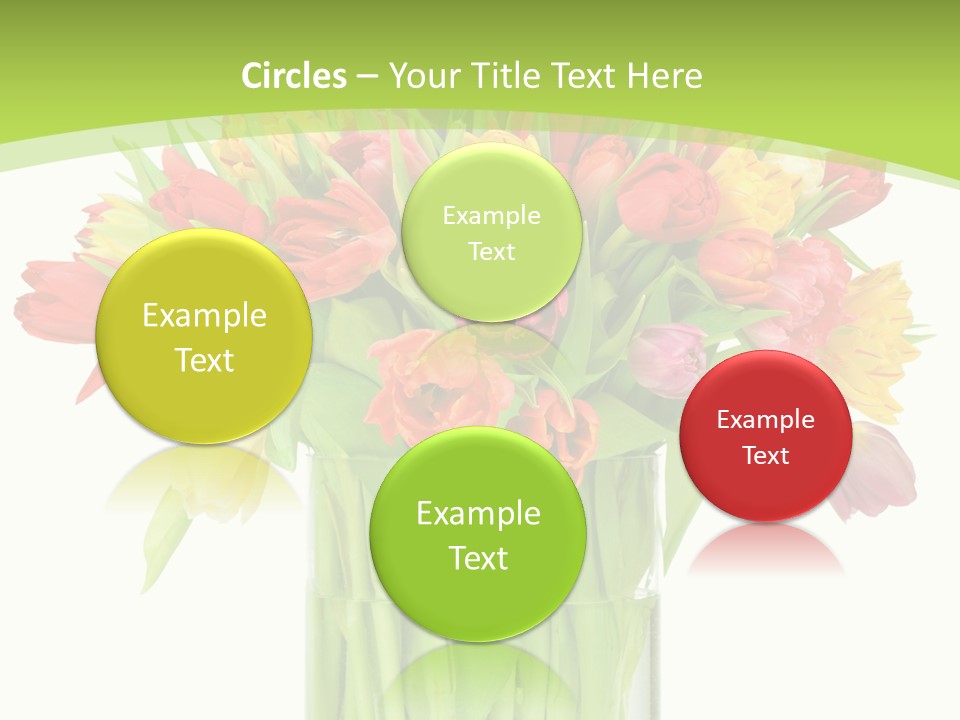 Floral Beautiful Color PowerPoint Template