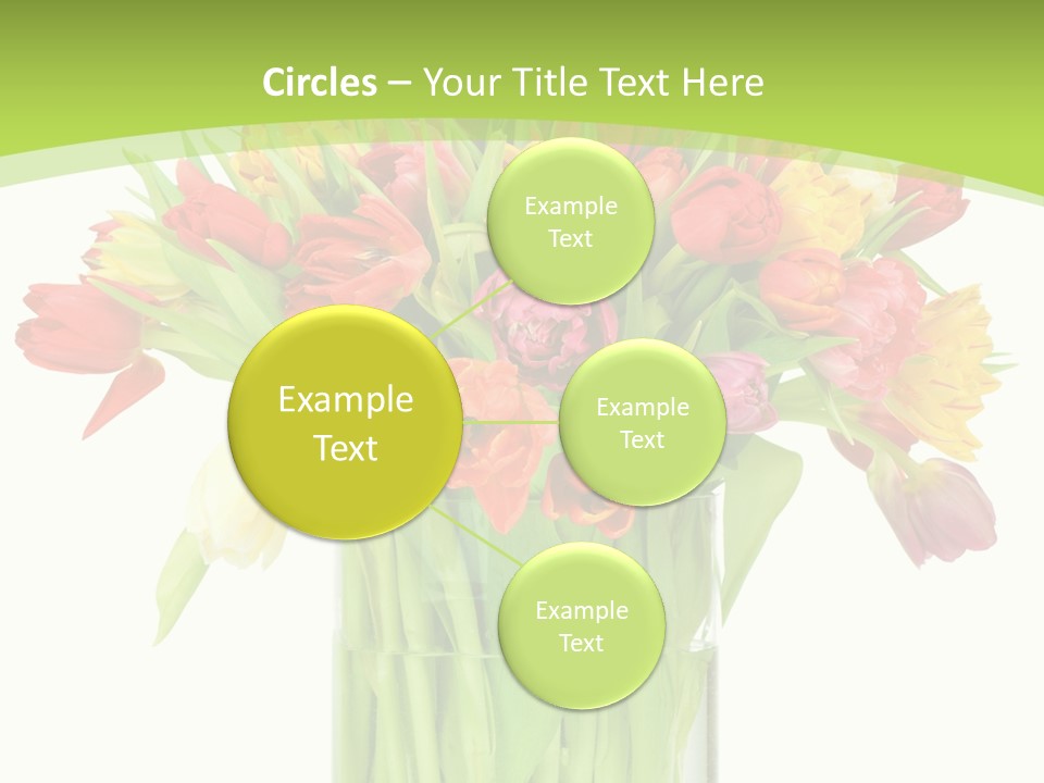 Floral Beautiful Color PowerPoint Template