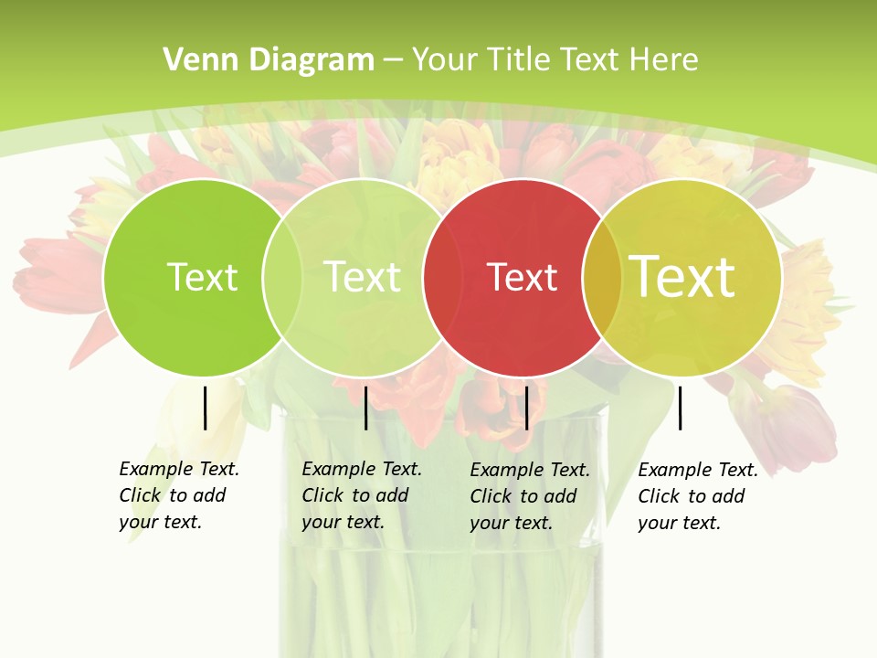 Floral Beautiful Color PowerPoint Template