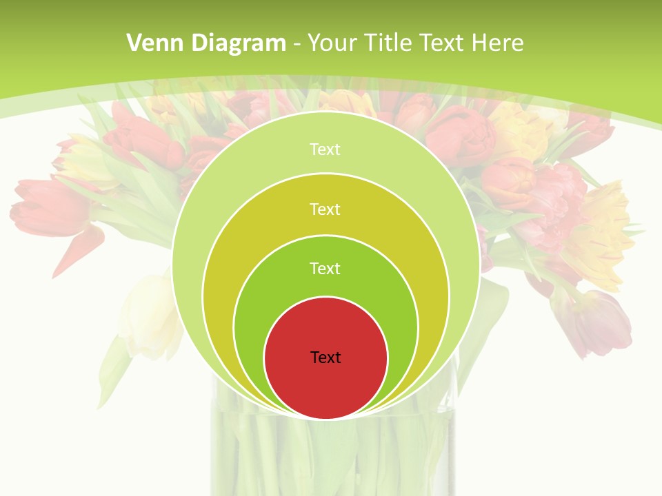 Floral Beautiful Color PowerPoint Template