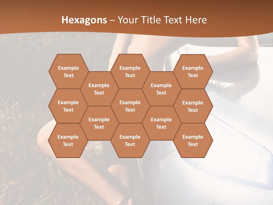 Miss Trans PowerPoint Template