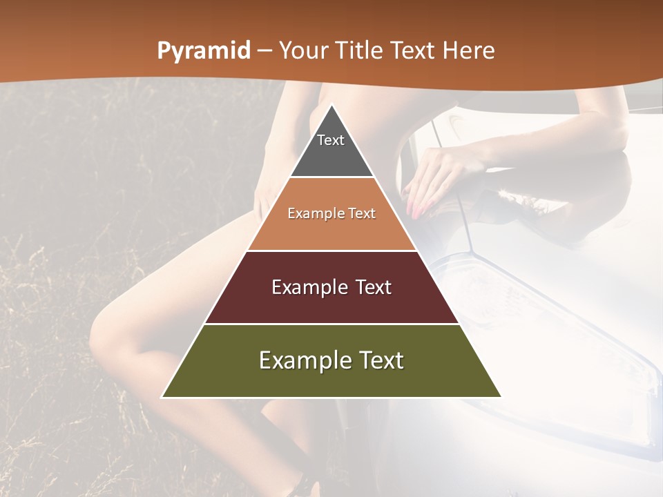 Miss Trans PowerPoint Template