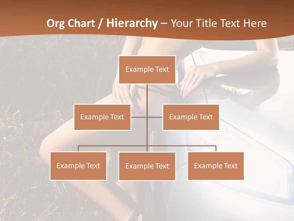 Miss Trans PowerPoint Template