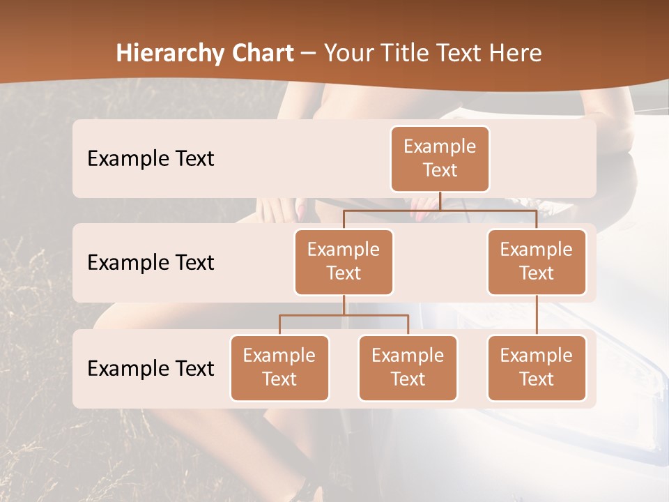 Miss Trans PowerPoint Template