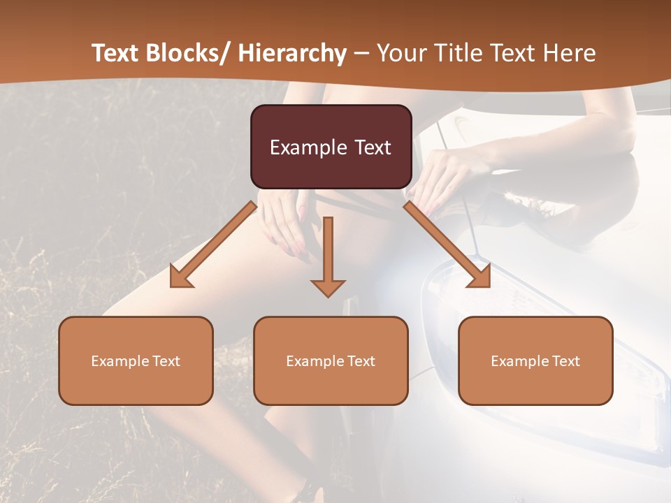 Miss Trans PowerPoint Template