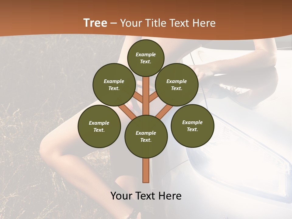 Miss Trans PowerPoint Template